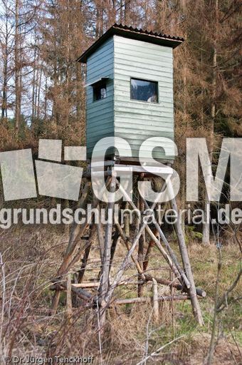 Hochstände (125 von 154).jpg